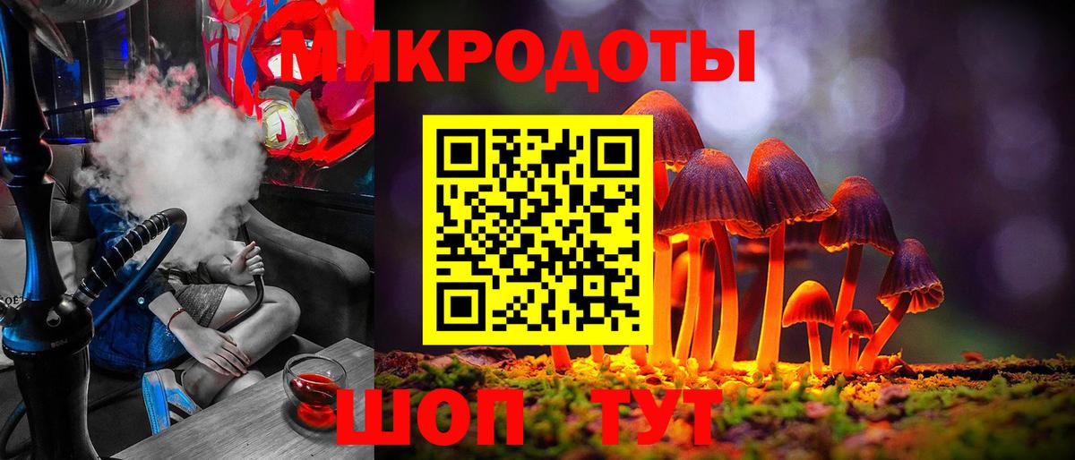 Псилоцибиновые грибы Cubensis Сокол