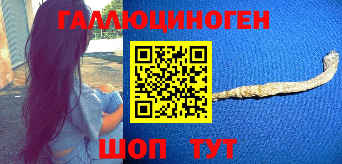 Галлюциногенные грибы мицелий  магазин    Сокол  Вход с VPN 